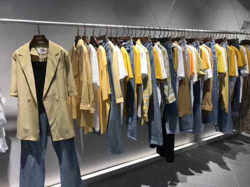 DBZ獨(dú)辮子服飾2020終端形象再升級(jí)，煥新體驗(yàn)引領(lǐng)潮流風(fēng)尚